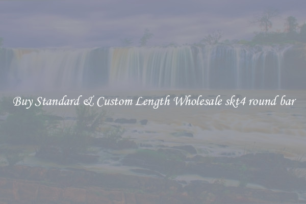 Buy Standard & Custom Length Wholesale skt4 round bar