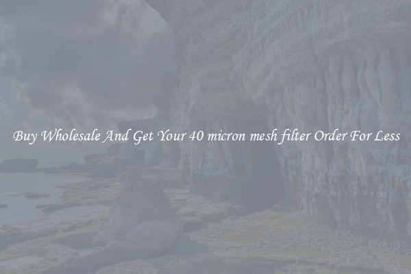 Buy Wholesale And Get Your 40 micron mesh filter Order For Less