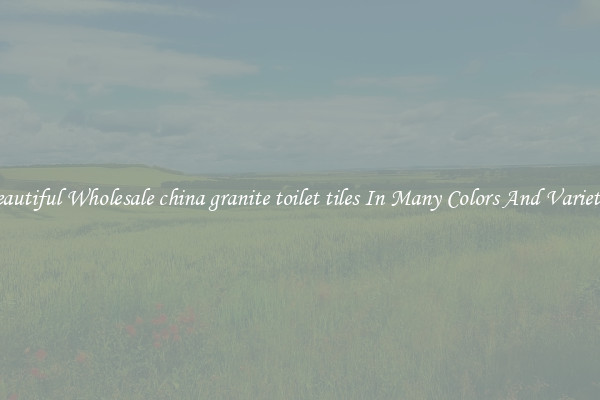 Beautiful Wholesale china granite toilet tiles In Many Colors And Varieties