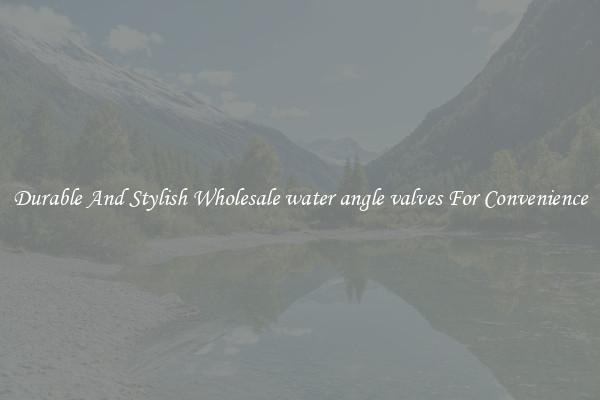 Durable And Stylish Wholesale water angle valves For Convenience