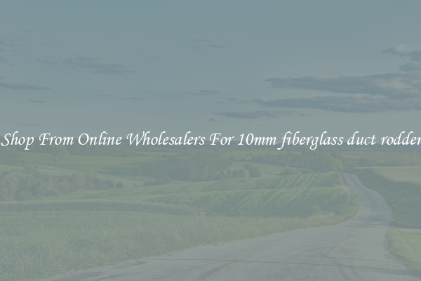 Shop From Online Wholesalers For 10mm fiberglass duct rodder