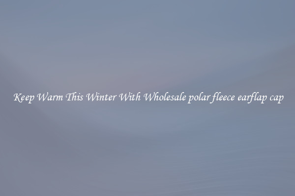 Keep Warm This Winter With Wholesale polar fleece earflap cap