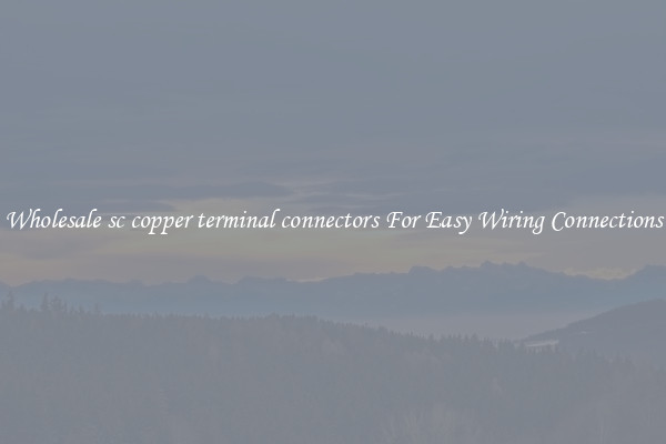 Wholesale sc copper terminal connectors For Easy Wiring Connections