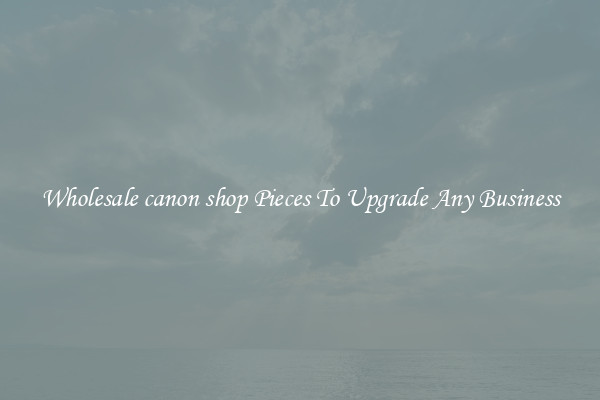 Wholesale canon shop Pieces To Upgrade Any Business