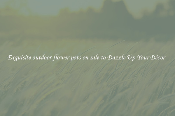 Exquisite outdoor flower pots on sale to Dazzle Up Your Décor  