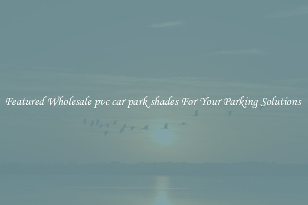 Featured Wholesale pvc car park shades For Your Parking Solutions 