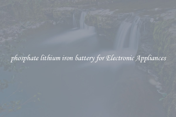 phosphate lithium iron battery for Electronic Appliances