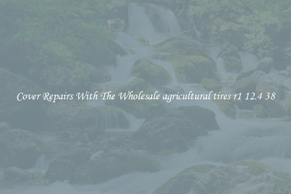  Cover Repairs With The Wholesale agricultural tires r1 12.4 38 