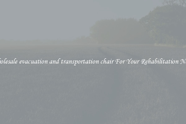 Wholesale evacuation and transportation chair For Your Rehabilitation Needs