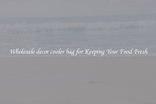 Wholesale decor cooler bag for Keeping Your Food Fresh
