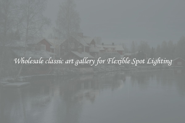 Wholesale classic art gallery for Flexible Spot Lighting