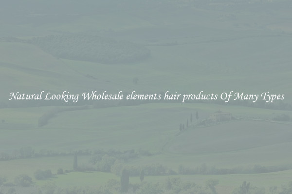 Natural Looking Wholesale elements hair products Of Many Types