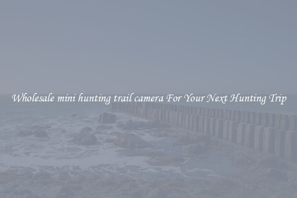 Wholesale mini hunting trail camera For Your Next Hunting Trip