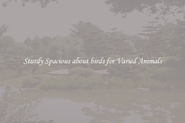 Sturdy Spacious about birds for Varied Animals