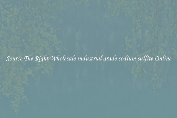 Source The Right Wholesale industrial grade sodium sulfite Online