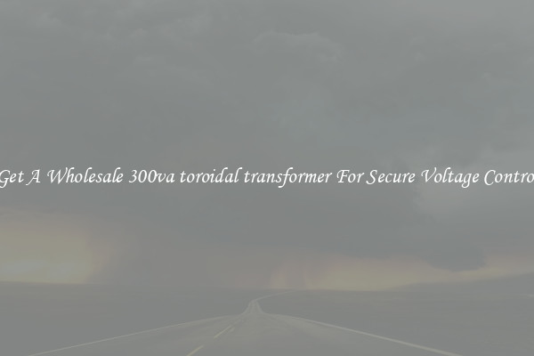 Get A Wholesale 300va toroidal transformer For Secure Voltage Control