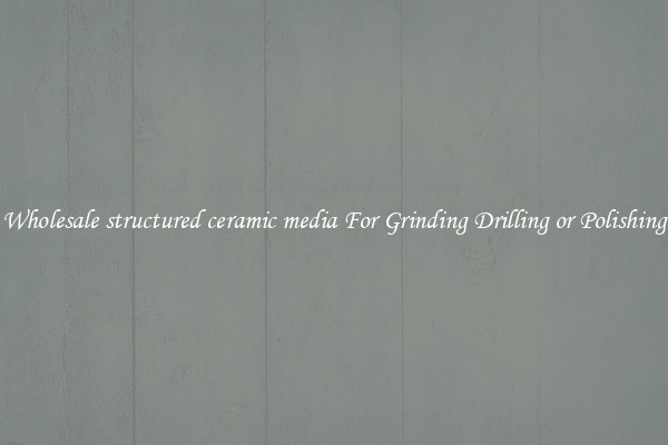 Wholesale structured ceramic media For Grinding Drilling or Polishing