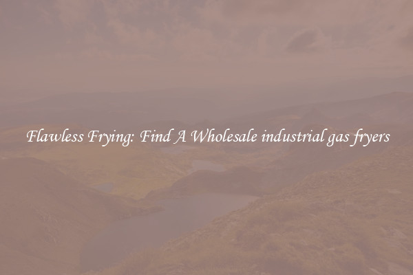 Flawless Frying: Find A Wholesale industrial gas fryers