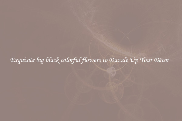 Exquisite big black colorful flowers to Dazzle Up Your Décor  