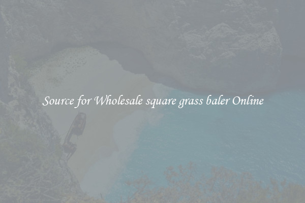 Source for Wholesale square grass baler Online