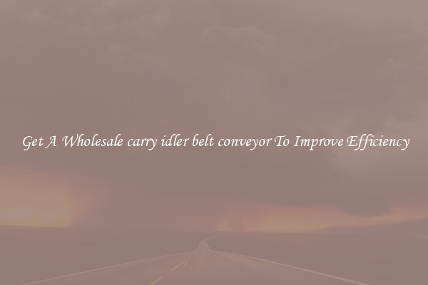 Get A Wholesale carry idler belt conveyor To Improve Efficiency