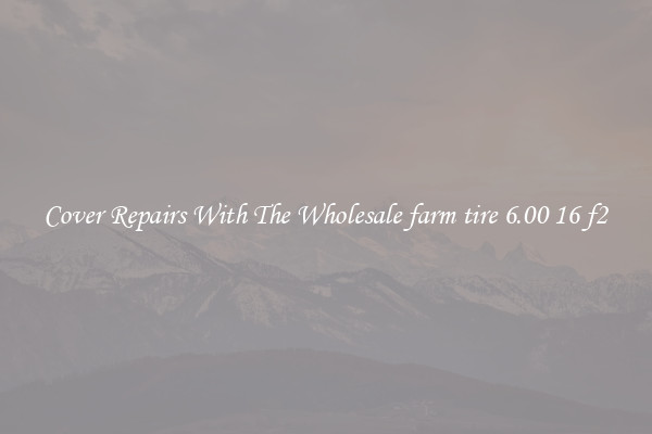  Cover Repairs With The Wholesale farm tire 6.00 16 f2 