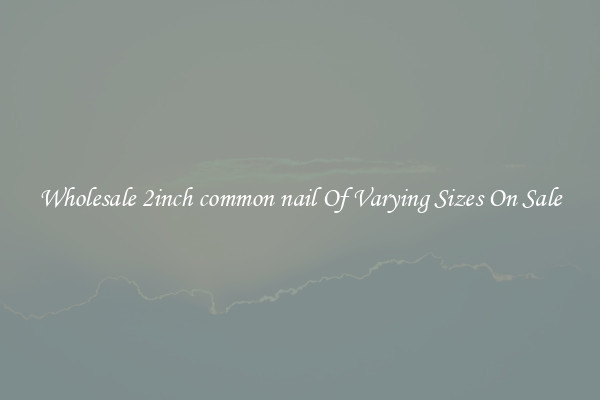 Wholesale 2inch common nail Of Varying Sizes On Sale