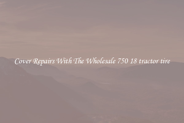  Cover Repairs With The Wholesale 750 18 tractor tire 